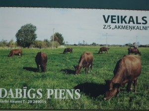коровы на плакате