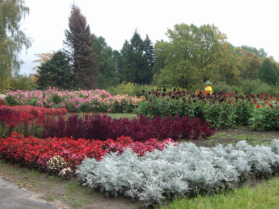ботанический сад осенью